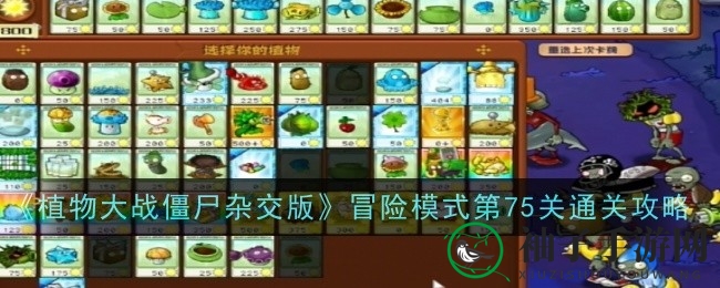 《植物大战僵尸杂交版》75关攻略：冰火激战，通关秘籍大揭秘