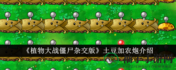 《植物大战僵尸杂交版》土豆加农炮：冰封僵尸，阳光盛宴