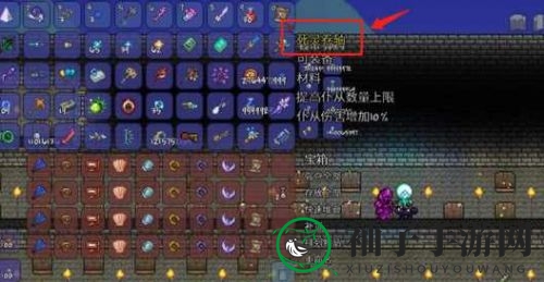 《泰拉瑞亚》召唤师毕业饰品攻略