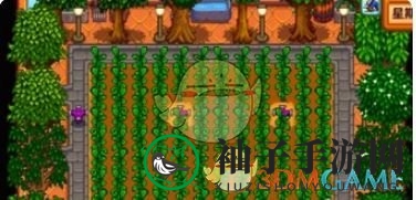 《星露谷物语》酿酒流介绍