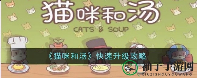 《猫咪和汤》升级攻略：揭秘高效提升等级秘诀，轻松赢取玩家喜爱