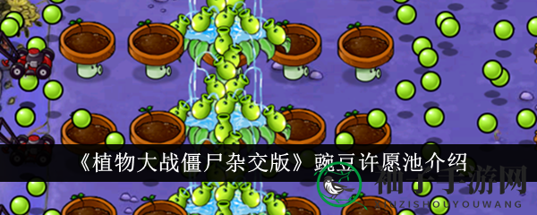 《植物大战僵尸杂交版》豌豆许愿池：360度防御新宠，全方位揭秘！
