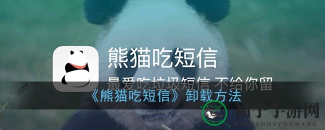 轻松卸载熊猫吃短信，告别烦恼攻略分享