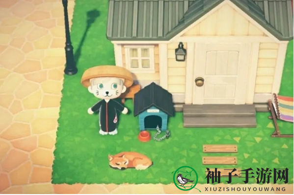 《森之国度》跟从猫更换教程大揭秘