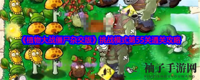 《植物大战僵尸杂交版》第55关攻略揭秘：策略布局助你轻松通关