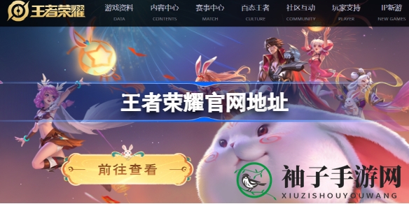 《王者荣耀》官网揭秘：新版本动画发布，被盗保护功能上线，英雄竞技新体验