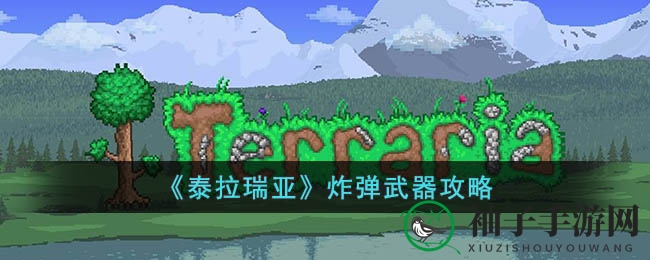 泰拉瑞亚炸弹攻略：获取技巧与使用心得分享