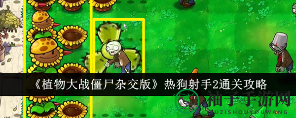 《植物大战僵尸杂交版》热狗射手2通关秘籍