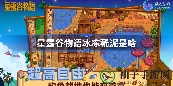 《星露谷物语》冰冻稀泥揭秘：矿井41-79层轻松获得，告别任务烦恼