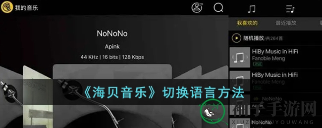 音乐之旅，语言随心变：海贝音乐语音设置攻略大揭秘