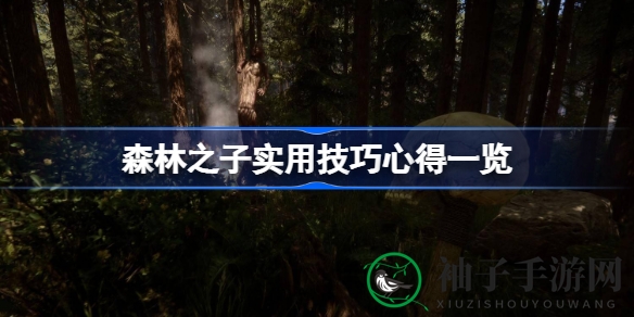 《森林之子》攻略揭秘：实用技巧与玩家心得大放送