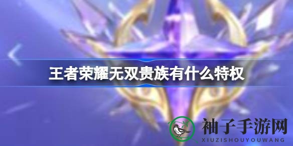 王者荣耀无双贵族V10独家福利揭秘：限定皮肤、节日惊喜等你来体验