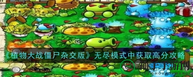 《植物大战僵尸杂交版》无尽战场攻略：高分技巧全解析