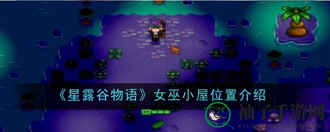 穿越时空，揭开《星露谷物语》女巫小屋神秘面纱之旅