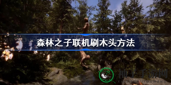 《森林之子》联机刷木攻略：高效采集秘籍大揭秘
