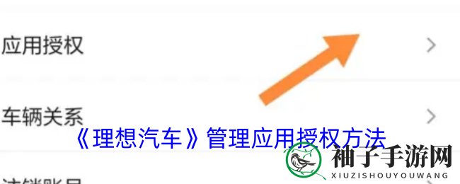 《理想汽车》管理应用授权方法示意图