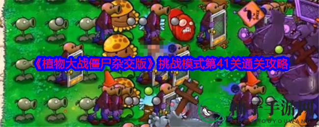 《植物大战僵尸杂交版》第41关通关攻略：布局智慧+能量收集，轻松征服神秘关卡