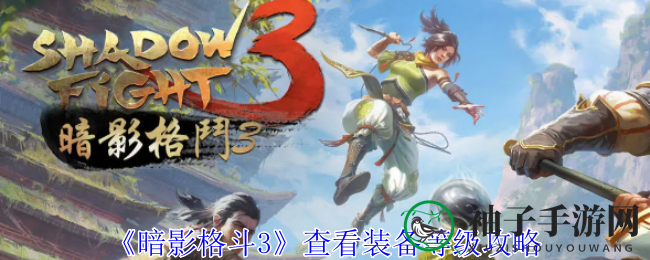暗影装备秘级解码，助你《暗影格斗3》轻松升级畅游江湖