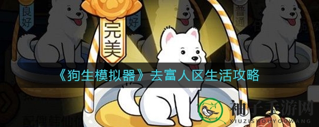 《狗生模拟器》攻略：掌握技巧轻松踏入富人区，体验豪门狗生