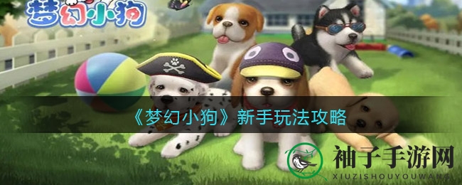 《梦幻小狗》新手玩法攻略