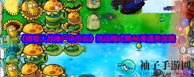 《植物大战僵尸杂交版》挑战模式第46关通关攻略