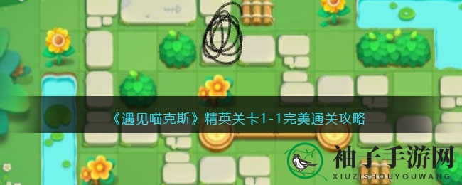 《遇见喵克斯》精英关卡1-1：猫咪设计师的塔防攻略，轻松征服！