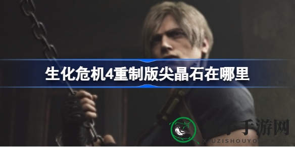 《生化危机4》尖晶石寻宝攻略：揭秘搜集全路径