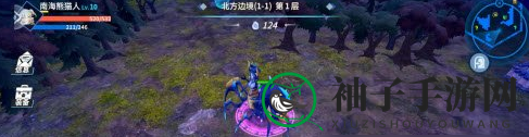 《物质与魔法》变身技能攻略解析