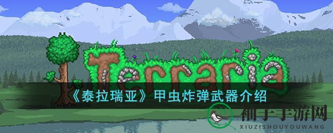 泰拉瑞亚探险指南：揭秘甲虫炸弹，打造无限矿道之旅