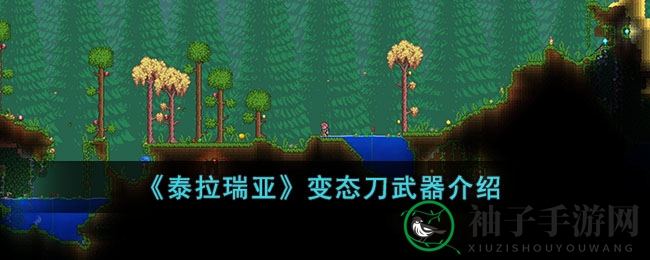 《泰拉瑞亚》变态刀武器详述