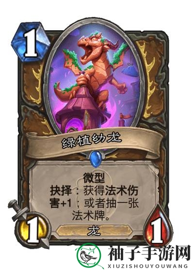《炉石传说》威兹班的工坊新卡绿植幼龙详细介绍