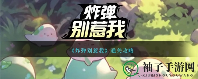《炸弹别惹我》通关攻略