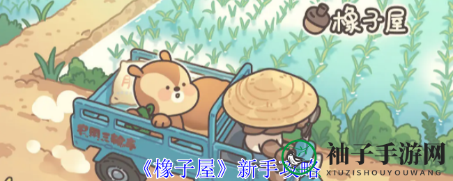 《橡子屋》新手攻略