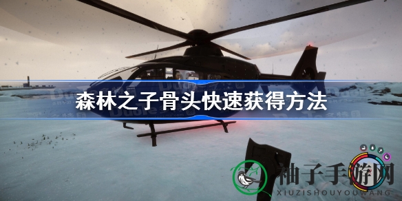 森林之子：孤岛求生，揭秘快速获取骨头秘籍