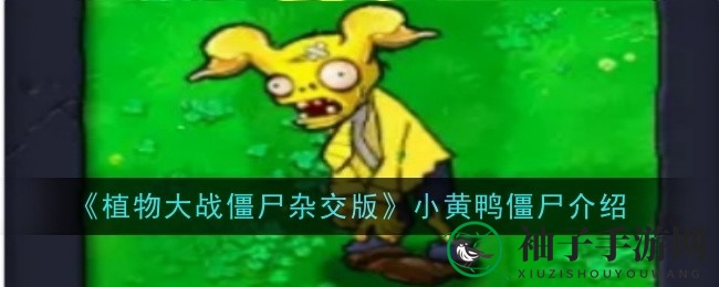 《植物大战僵尸杂交版》小黄鸭僵尸独特魅力揭秘，童真游泳圈助力战斗