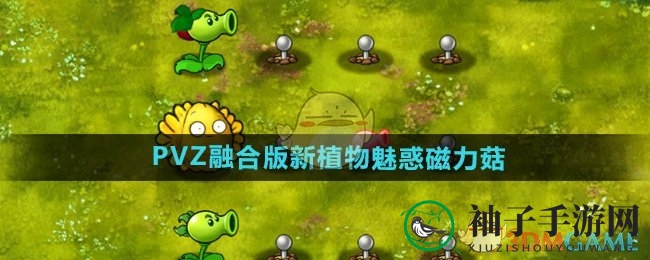 《植物大战僵尸融合版》新秀魅惑磁力菇：独特魅力，实战揭秘！