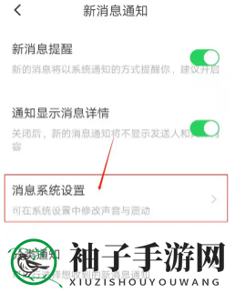 《皮皮陪玩》关闭截图声音方法