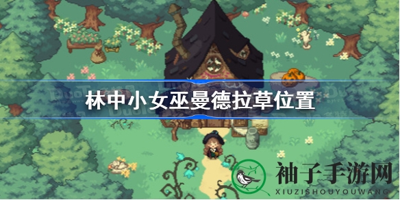 《林中小女巫》寻宝秘境：曼德拉草藏匿之谜等你揭晓