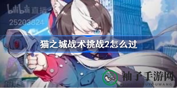 《猫之城战术挑战2》通关攻略大揭秘：轻松解锁胜利秘籍
