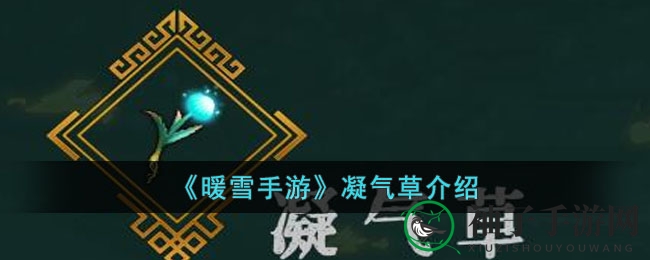 《暖雪手游》凝气草深度解析：神秘之草助力战斗，提升怒气实现无敌状态