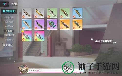 《猫之城》彩色鱼获取方法