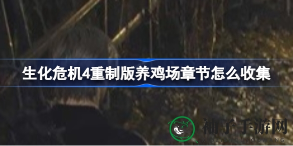 《生化危机4重制版》鸡场宝藏攻略：揭秘隐藏珍宝搜集秘籍