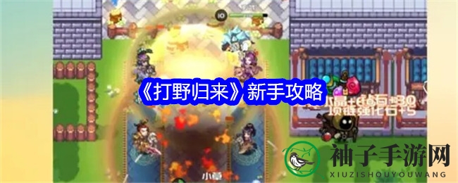 《打野归来》揭秘：新手攻略助你智慧制胜，解锁独特游戏魅力