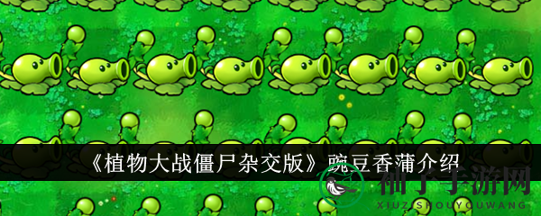 《植物大战僵尸杂交版》豌豆香蒲：全屏追踪，点燃战场新亮点