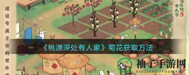 桃源深处：揭秘菊香秘法，解锁田园菊香之旅
