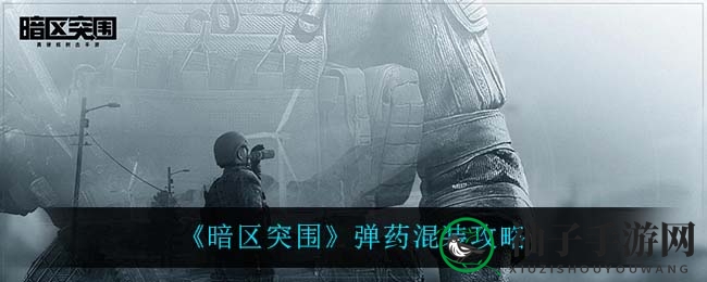 《暗区突围》弹药混装攻略揭秘：口径相同子弹混装技巧及品质区分