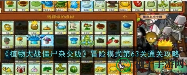 《植物大战僵尸杂交版》第六十三关挑战攻略：轻松通关秘籍大揭秘
