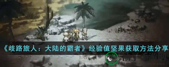 歧路旅人霸者：高效搜集经验坚果攻略秘籍分享