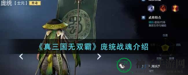 《真三国无双霸》庞统战魂深度解析：全面揭秘，助力PVE挑战轻松通关