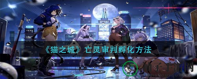 《猫之城》揭秘：亡灵审判宠物孵化攻略全解析